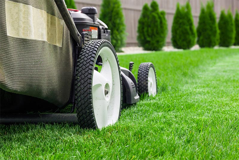 Petits travaux de jardinage chez les particuliers et bricolage à domicile